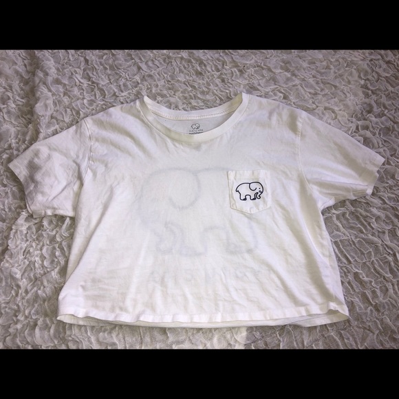 White Ivory Ella Crop Top - Picture 3 of 6